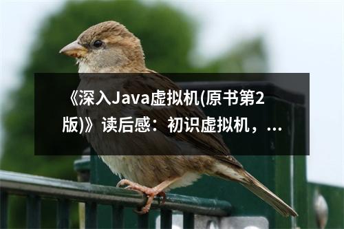 《深入Java虛擬機(jī)(原書第2版)》讀后感：初識(shí)虛擬機(jī)，探尋技術(shù)奧秘 (650字)