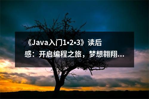 《Java入門1?2?3》讀后感：開啟編程之旅，夢(mèng)想翱翔 (800字)