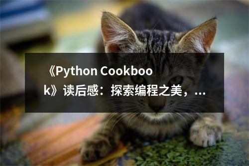 《Python Cookbook》讀后感：探索編程之美，啟程智慧之旅 (650字)