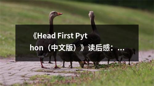 《Head First Python（中文版）》讀后感：編程之旅初體驗(yàn)，腦洞大開(kāi)！ (700字)