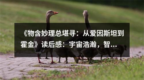 《物含妙理總堪尋：從愛因斯坦到霍金》讀后感：宇宙浩瀚，智慧無垠 (950字)