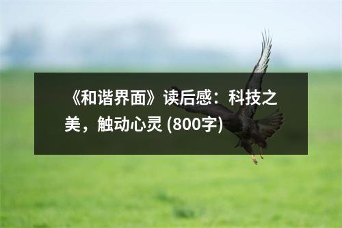 《和諧界面》讀后感：科技之美，觸動(dòng)心靈 (800字)