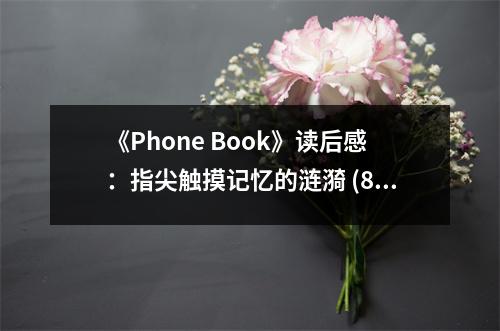 《Phone Book》讀后感：指尖觸摸記憶的漣漪 (800字)