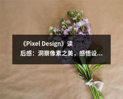 《Pixel Design》讀后感：洞察像素之美，感悟設(shè)計(jì)靈魂 (800字)