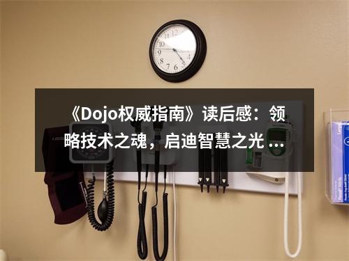 《Dojo權(quán)威指南》讀后感：領(lǐng)略技術(shù)之魂，啟迪智慧之光 (700字)