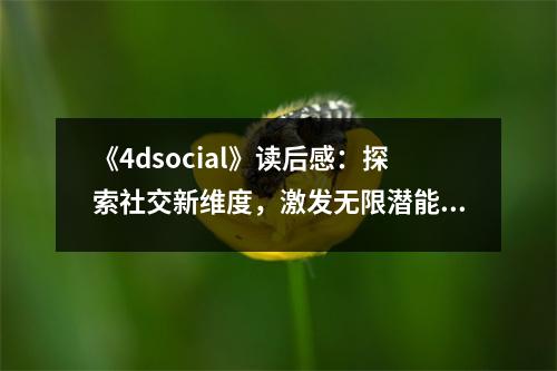 《4dsocial》讀后感：探索社交新維度，激發(fā)無限潛能 (750字)