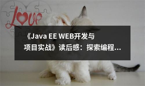 《Java EE WEB開發(fā)與項目實戰(zhàn)》讀后感：探索編程之美，啟迪無限可能 (850字)