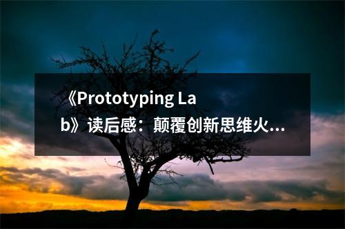 《Prototyping Lab》讀后感：顛覆創(chuàng)新思維火花綻放 (700字)