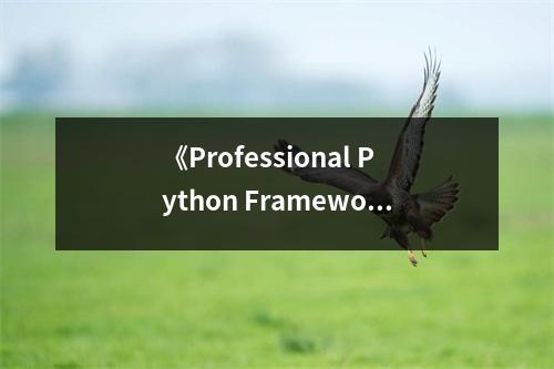 《Professional Python Frameworks》讀后感：領(lǐng)悟編程之美 (750字)