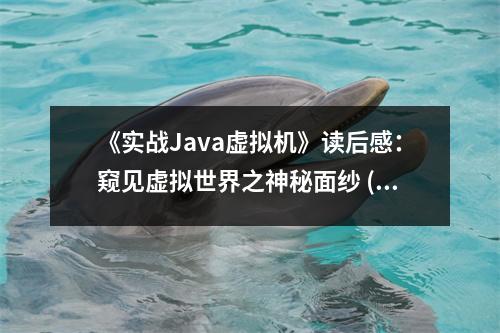 《實戰(zhàn)Java虛擬機》讀后感：窺見虛擬世界之神秘面紗 (750字)