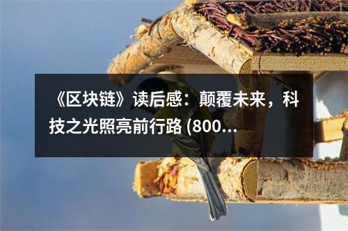 《區(qū)塊鏈》讀后感：顛覆未來，科技之光照亮前行路 (800字)