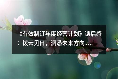 《有效制訂年度經(jīng)營(yíng)計(jì)劃》讀后感：撥云見日，洞悉未來方向 (850字)