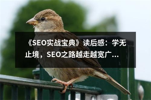 《SEO實戰(zhàn)寶典》讀后感：學無止境，SEO之路越走越寬廣 (850字)