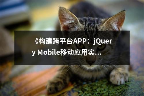 《構(gòu)建跨平臺(tái)APP：jQuery Mobile移動(dòng)應(yīng)用實(shí)戰(zhàn)》讀后感：移動(dòng)開發(fā)的新篇章，夢(mèng)想啟航 (750字)