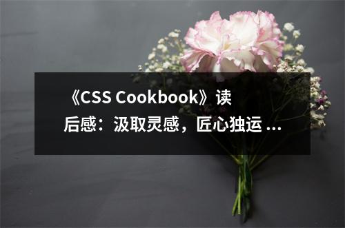 《CSS Cookbook》讀后感：汲取靈感，匠心獨運 (800字)