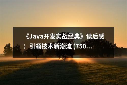 《Java開發(fā)實戰(zhàn)經(jīng)典》讀后感：引領(lǐng)技術(shù)新潮流 (750字)