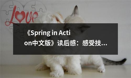 《Spring in Action中文版》讀后感：感受技術(shù)的無限魅力 (750字)