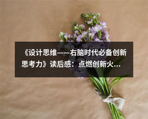 《設(shè)計(jì)思維——右腦時代必備創(chuàng)新思考力》讀后感：點(diǎn)燃創(chuàng)新火花的秘密 (1100字)