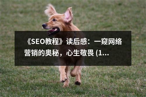 《SEO教程》讀后感：一窺網(wǎng)絡(luò)營銷的奧秘，心生敬畏 (1000字)