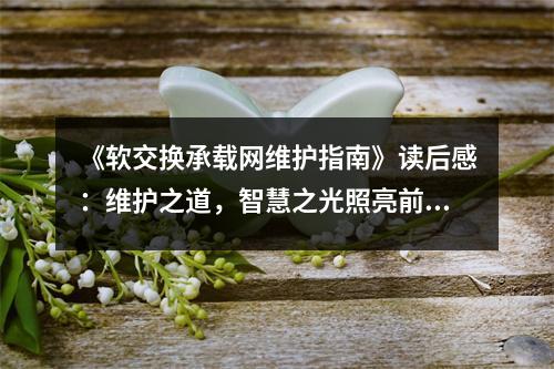 《軟交換承載網(wǎng)維護(hù)指南》讀后感：維護(hù)之道，智慧之光照亮前行之路 (950字)