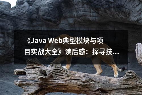 《Java Web典型模塊與項(xiàng)目實(shí)戰(zhàn)大全》讀后感：探尋技術(shù)的無盡魅力 (900字)