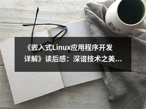 《嵌入式Linux應用程序開發(fā)詳解》讀后感：深諳技術(shù)之美 (850字)