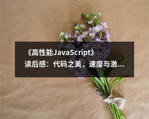 《高性能JavaScript》讀后感：代碼之美，速度與激情 (750字)
