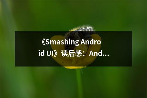 《Smashing Android UI》讀后感：Android設計之美令人陶醉 (750字)