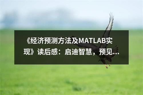《經(jīng)濟預測方法及MATLAB實現(xiàn)》讀后感：啟迪智慧，預見未來 (850字)