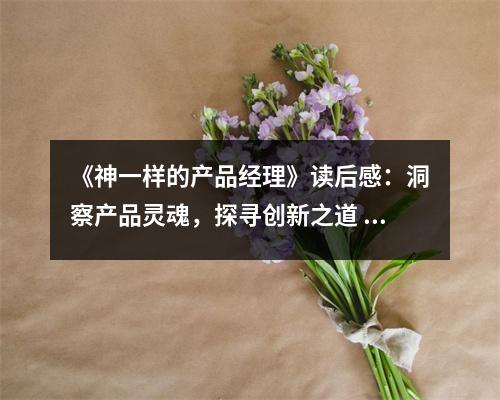 《神一樣的產(chǎn)品經(jīng)理》讀后感：洞察產(chǎn)品靈魂，探尋創(chuàng)新之道 (900字)