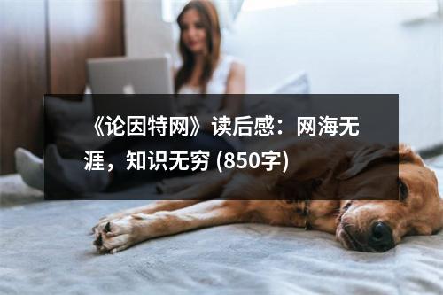 《論因特網(wǎng)》讀后感：網(wǎng)海無涯，知識(shí)無窮 (850字)