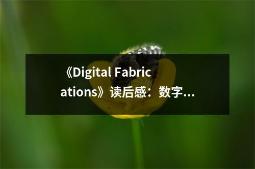 《Digital Fabrications》讀后感：數(shù)字化重塑，創(chuàng)意無限綻放 (800字)