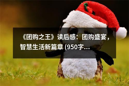 《團購之王》讀后感：團購盛宴，智慧生活新篇章 (950字)