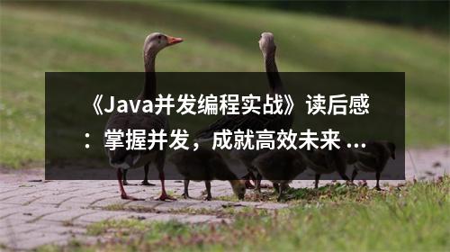 《Java并發(fā)編程實戰(zhàn)》讀后感：掌握并發(fā)，成就高效未來 (750字)