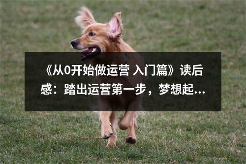《從0開始做運營 入門篇》讀后感：踏出運營第一步，夢想起航！ (800字)