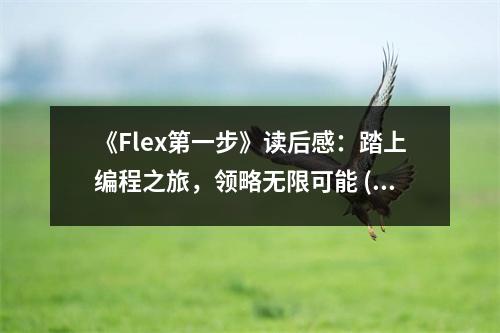 《Flex第一步》讀后感：踏上編程之旅，領(lǐng)略無(wú)限可能 (700字)