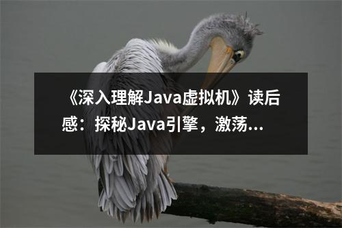 《深入理解Java虛擬機》讀后感：探秘Java引擎，激蕩編程熱情 (850字)