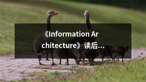 《Information Architecture》讀后感：洞察信息之美 (1000字)