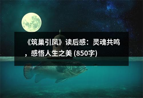 《筑巢引鳳》讀后感：靈魂共鳴，感悟人生之美 (850字)