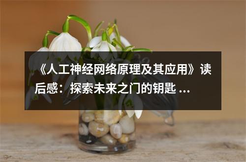 《人工神經(jīng)網(wǎng)絡(luò)原理及其應(yīng)用》讀后感：探索未來(lái)之門的鑰匙 (800字)
