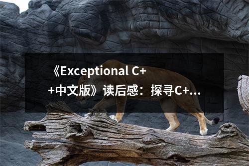 《Exceptional C++中文版》讀后感：探尋C++之美的旅程 (700字)