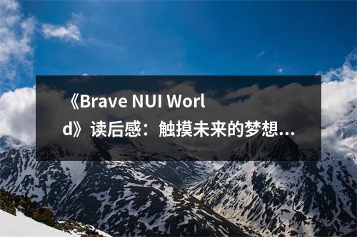 《Brave NUI World》讀后感：觸摸未來(lái)的夢(mèng)想之翼 (800字)