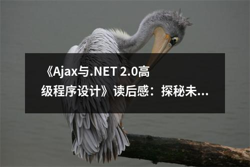 《Ajax與.NET 2.0高級程序設計》讀后感：探秘未來編程的奧秘 (950字)
