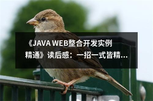 《JAVA WEB整合開發(fā)實例精通》讀后感：一招一式皆精華 (750字)
