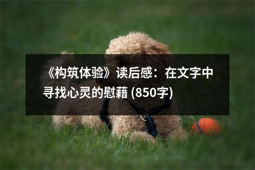 《構筑體驗》讀后感：在文字中尋找心靈的慰藉 (850字)