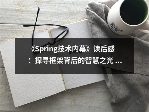 《Spring技術(shù)內(nèi)幕》讀后感：探尋框架背后的智慧之光 (1050字)