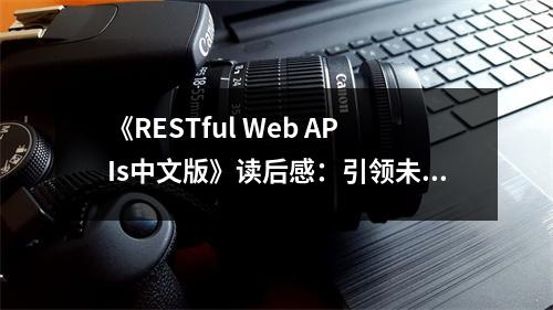 《RESTful Web APIs中文版》讀后感：引領(lǐng)未來(lái)，API設(shè)計(jì)新篇章 (700字)