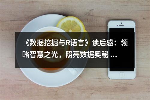 《數(shù)據(jù)挖掘與R語(yǔ)言》讀后感：領(lǐng)略智慧之光，照亮數(shù)據(jù)奧秘 (750字)