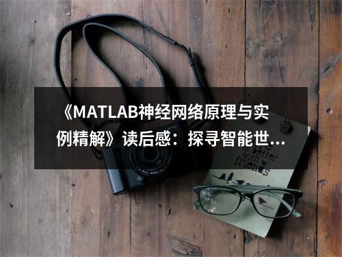 《MATLAB神經(jīng)網(wǎng)絡(luò)原理與實(shí)例精解》讀后感：探尋智能世界的奧秘 (850字)