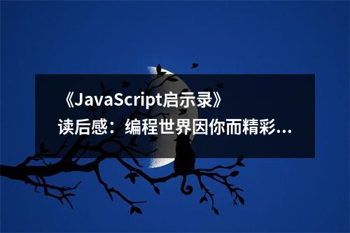 《JavaScript啟示錄》讀后感：編程世界因你而精彩 (650字)